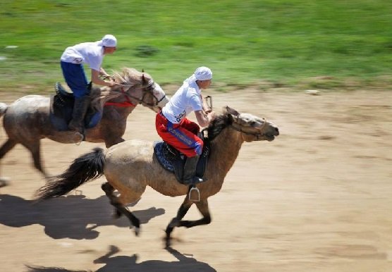 Túrkistan oblysynda «Sáıgúlikter» festıvali uıymdastyrylady