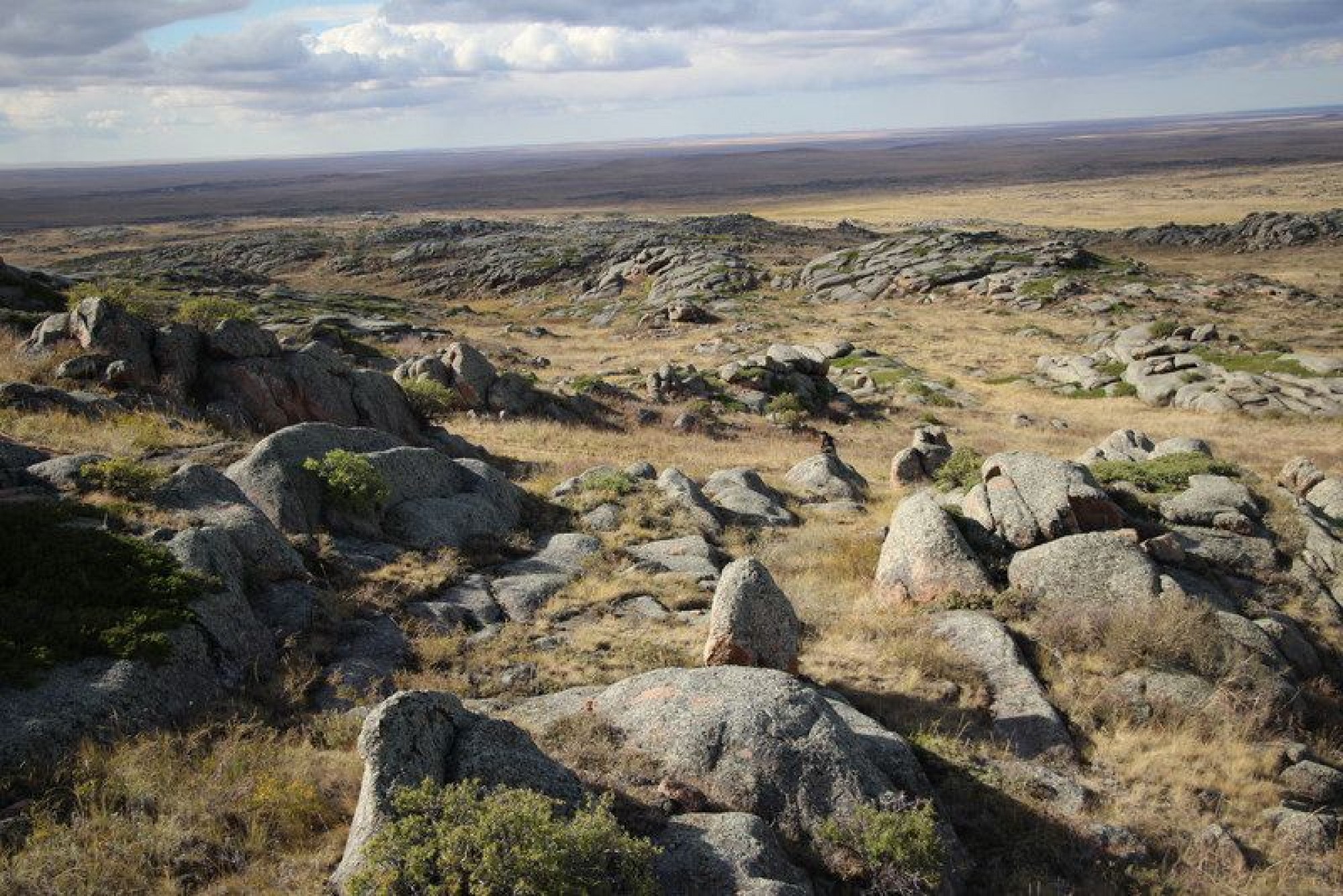 Pavlodar oblysy Qalmaqqyrylǵan taýynda arheologııalyq  qazba jumystary júrgizilýde