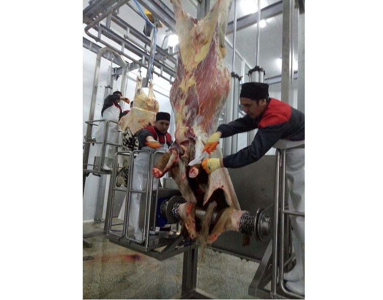 Arqalyqta kúnine 10 tonna ónim shyǵaratyn et kombınaty ashyldy