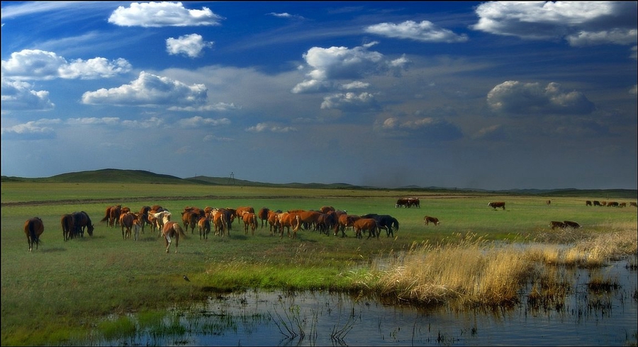 Baıqaý laýreattary marapattaldy