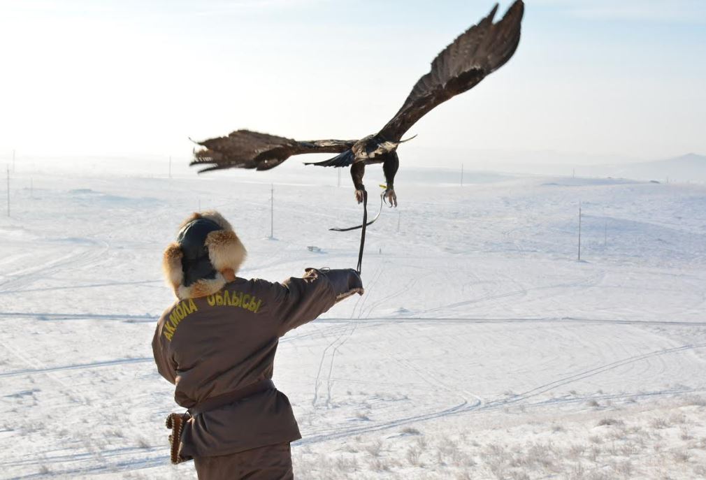 Býrabaıda «Qansonar-2018» halyqaralyq týrnıri ótkizildi
