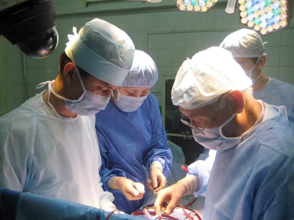 Astanada álem dárigerleri júrek aýrýlaryn emdeýdiń jańa tehnologııasyn tanystyrdy