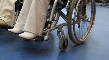 Múmkindigi shekteýli jandar emdelý úshin shıpajaıdy ózi tańdaıtyn bolady