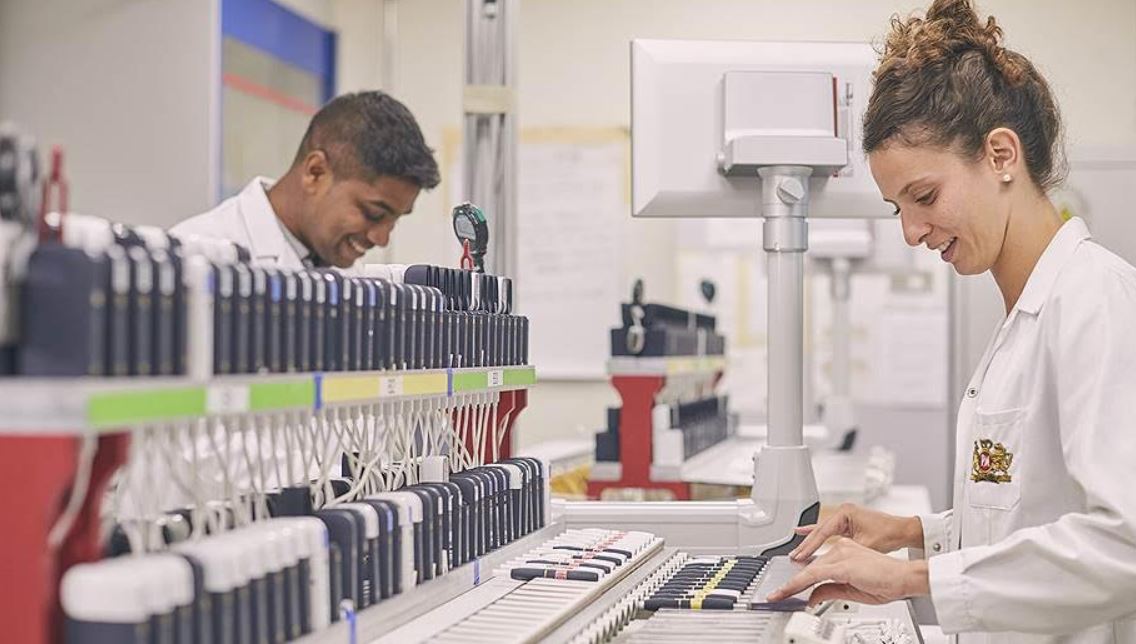 Temekiniń balamaly túrlerine suranys artýda