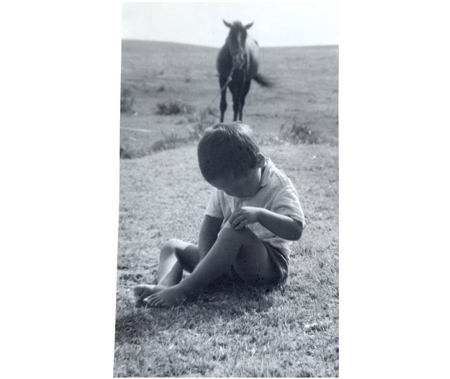 Attan jyǵylǵan bala