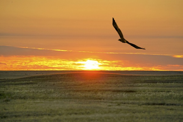 Elbasynyń «Uly dalanyń jeti qyry» maqalasy tarıhı sanany jańǵyrtýǵa baǵyttalǵan tereń tolǵam 