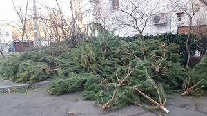 Qaraǵandynyń haıýanattar baǵynda aksııa bastaldy