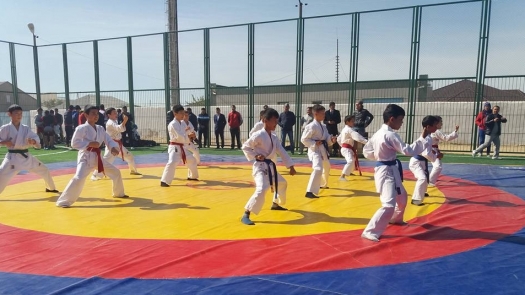 Qaraqııada kásipkerler kóbeıip keledi