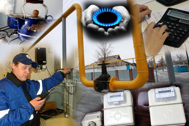 Báıdibektikterge kógildir otyn nege berilmegen?