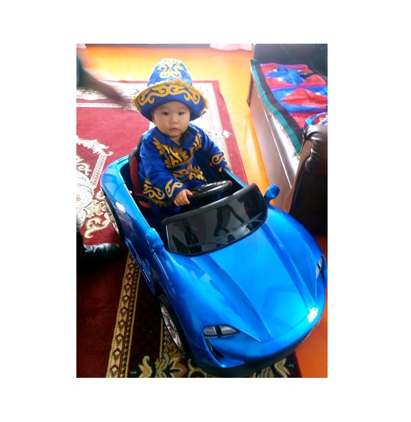 Qyzylordada balaqaı senatordan syılyq aldy