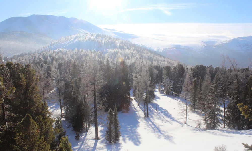 ShQO Batys Altaı qoryǵynyń qysqy kórinisteri
