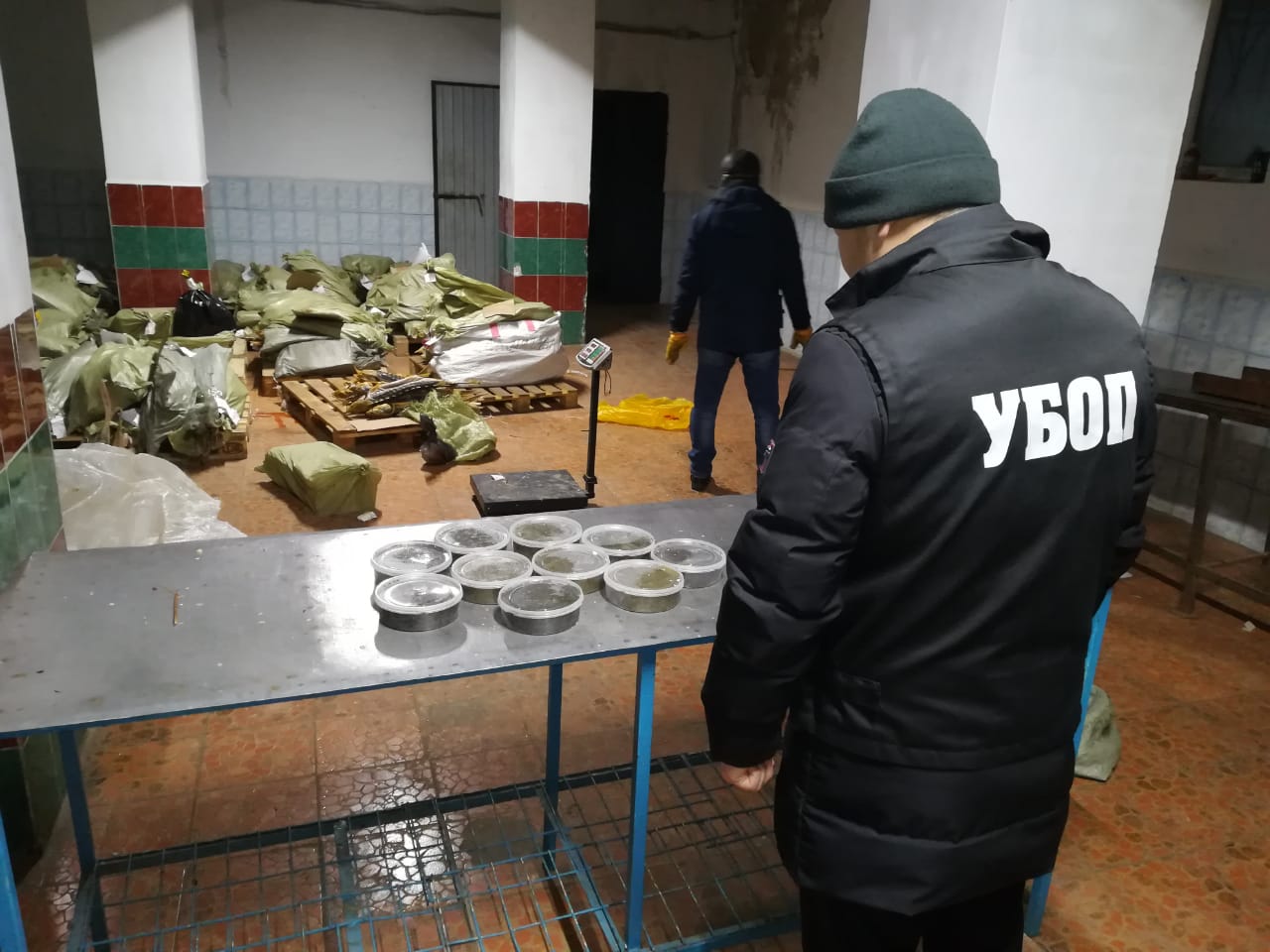 2 tonna qyzylbalyq, 113 keli ýyldyryq tárkilendi