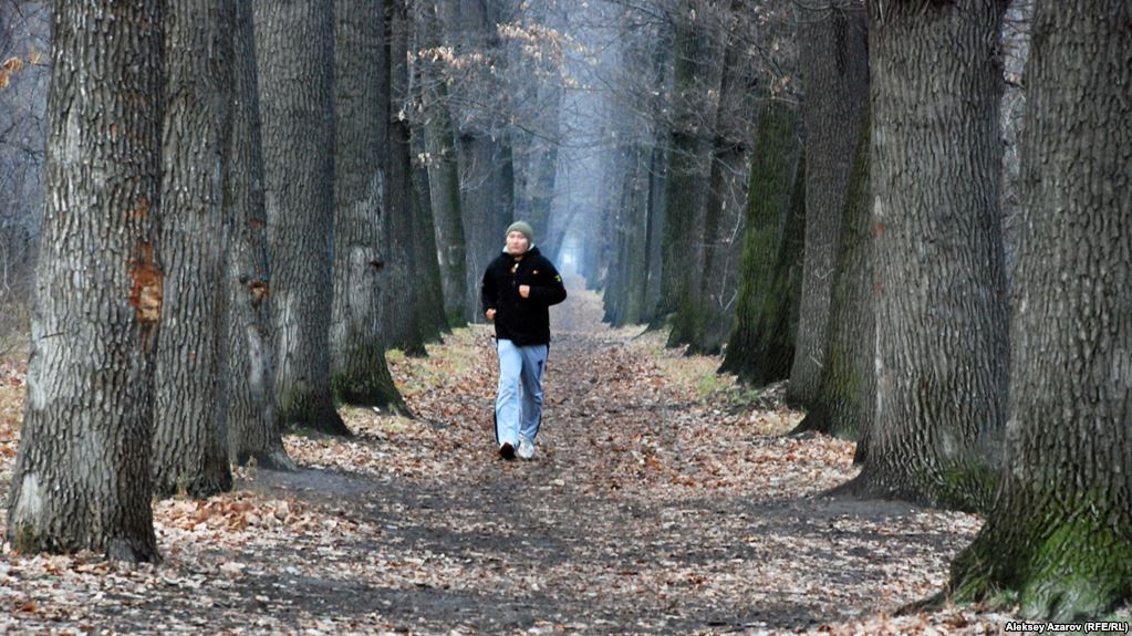 Almatydaǵy Baým toǵaıy túrlene túspek