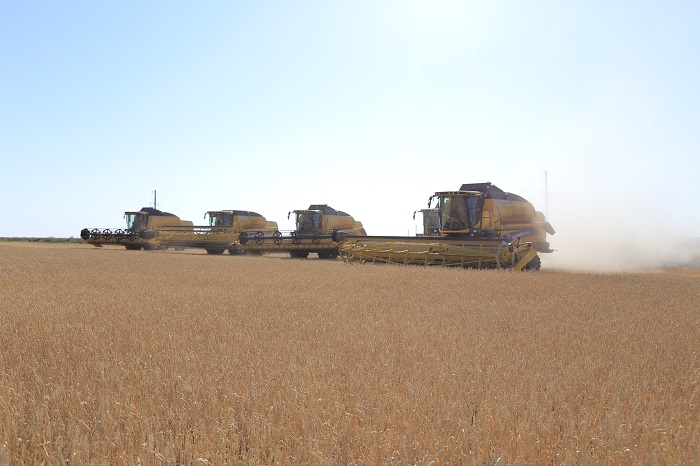 Aqtóbe oblysynyń sharýalary byltyr 228 mlrd teńgeniń ónimin óndirdi