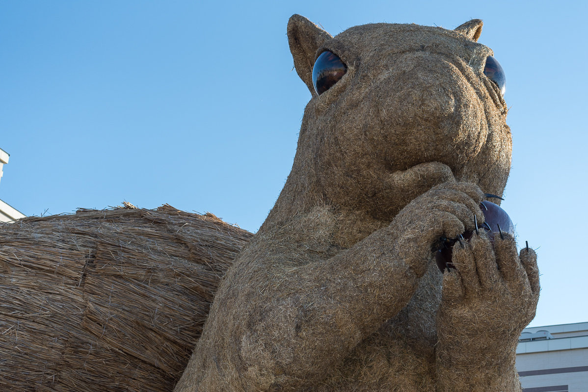 Almatydaǵy ataqty «belka» buzylmaýy múmkin