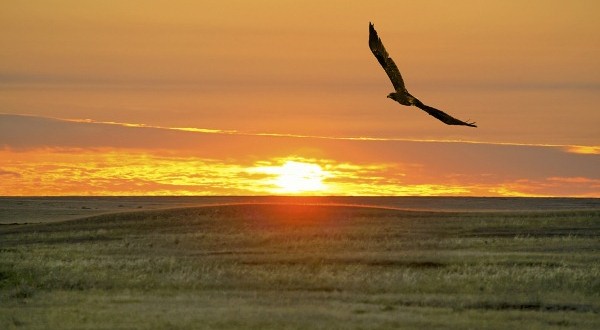 El edik ejelden eńseli