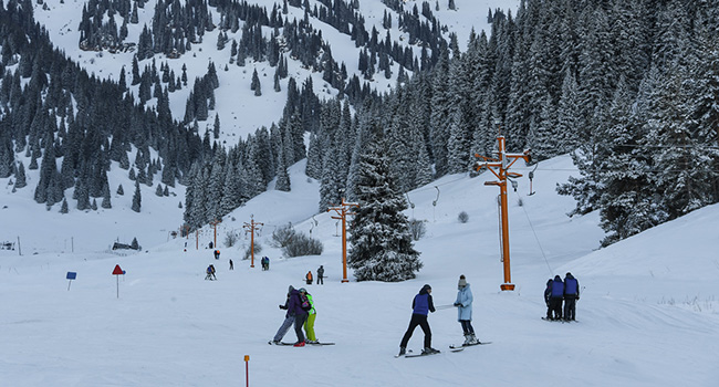 Almatyda taý klasterin damytýdyń jospary jasaldy