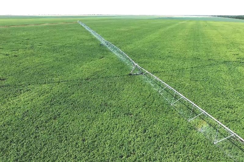 Sýarmaly alqaptar qalpyna keltirilýde