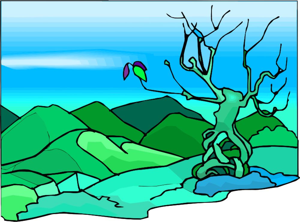 Báıterek – bul qaı terek?!