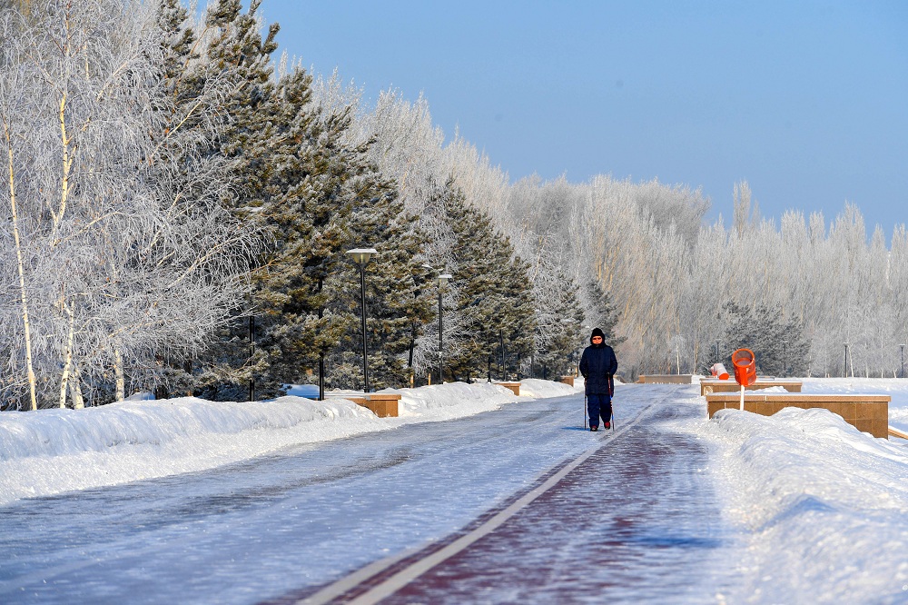 Qyraýly qańtar (fotoetıýd)