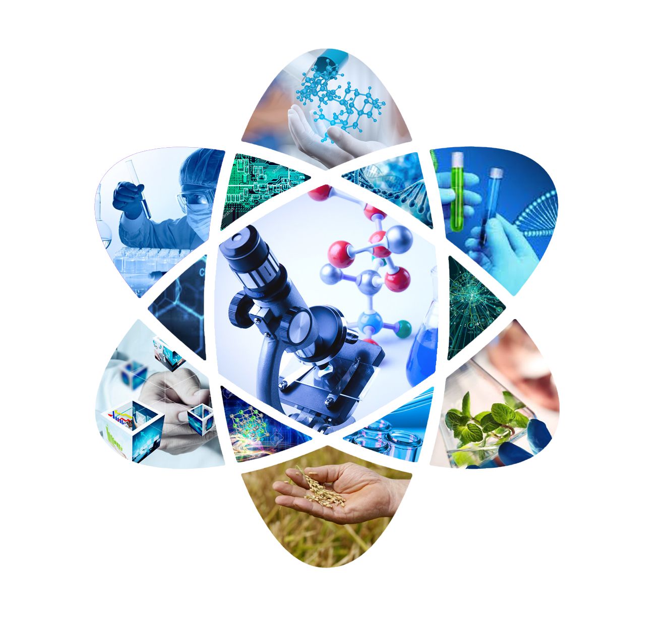 Ǵylym deńgeıi nege tómen?