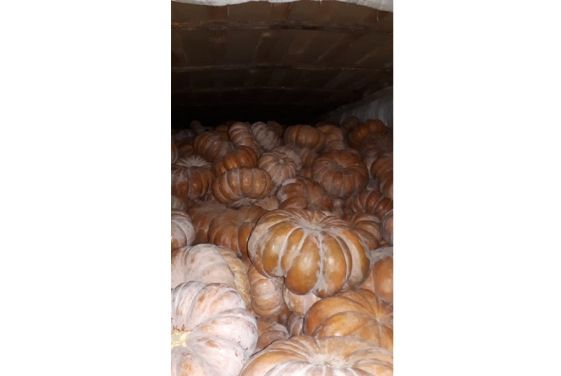 Ruqsat qaǵazdary joq taýarlar elge kirgizilmedi