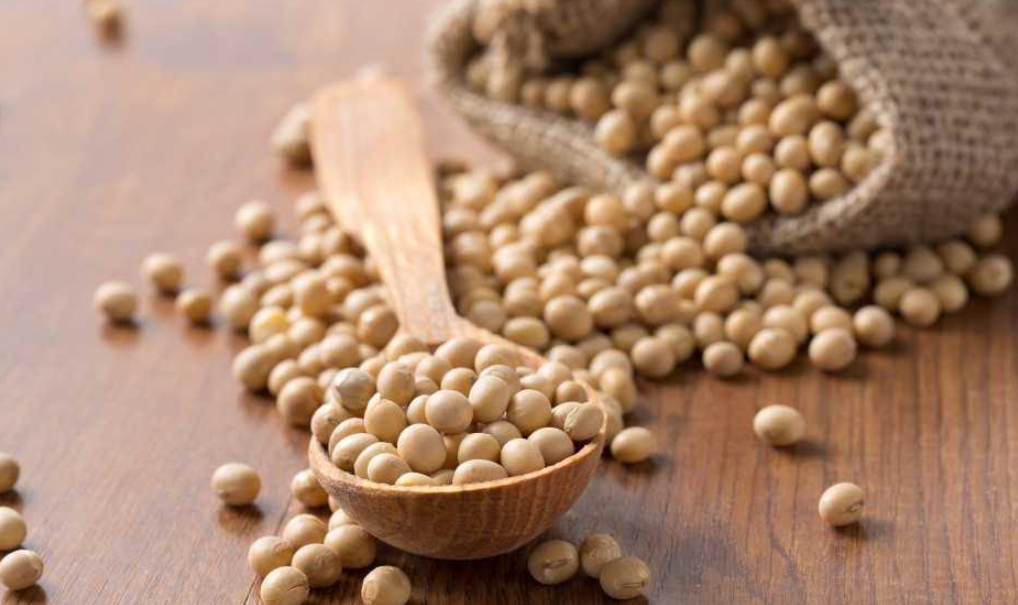 Soıa - suranysqa ıe daqyl