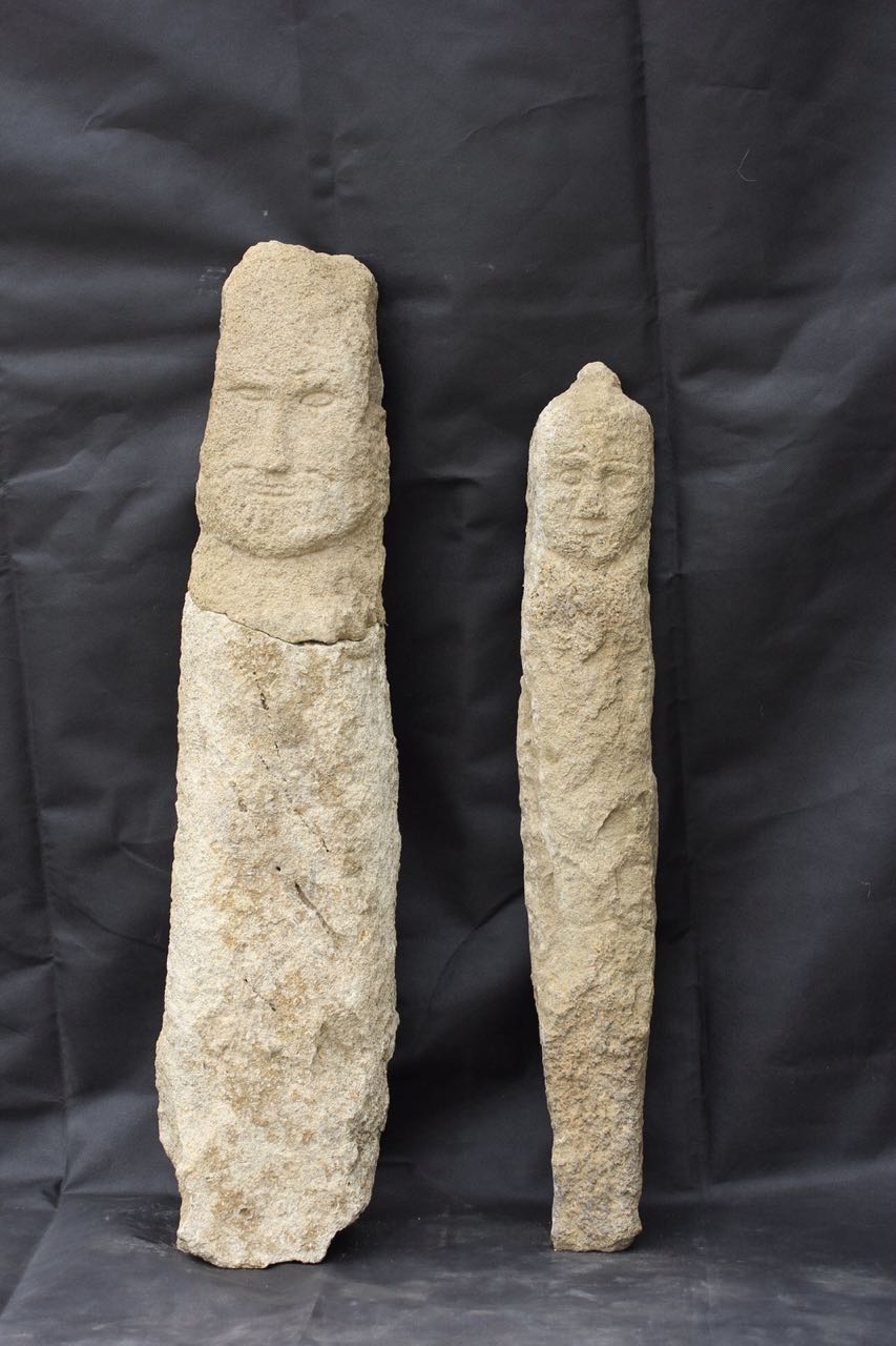  Túrki akademııasynyń zertteýi júldege ıe boldy