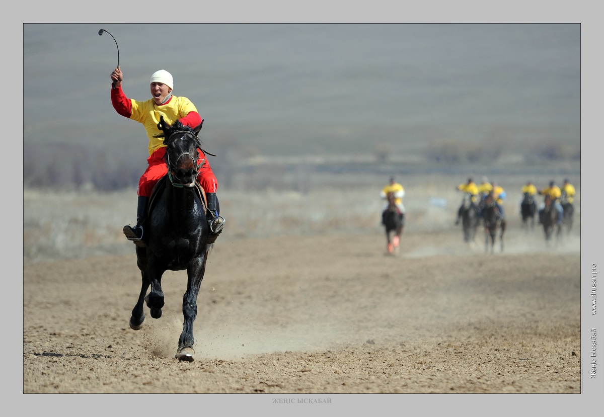 Júırik jylqynyń sıpaty