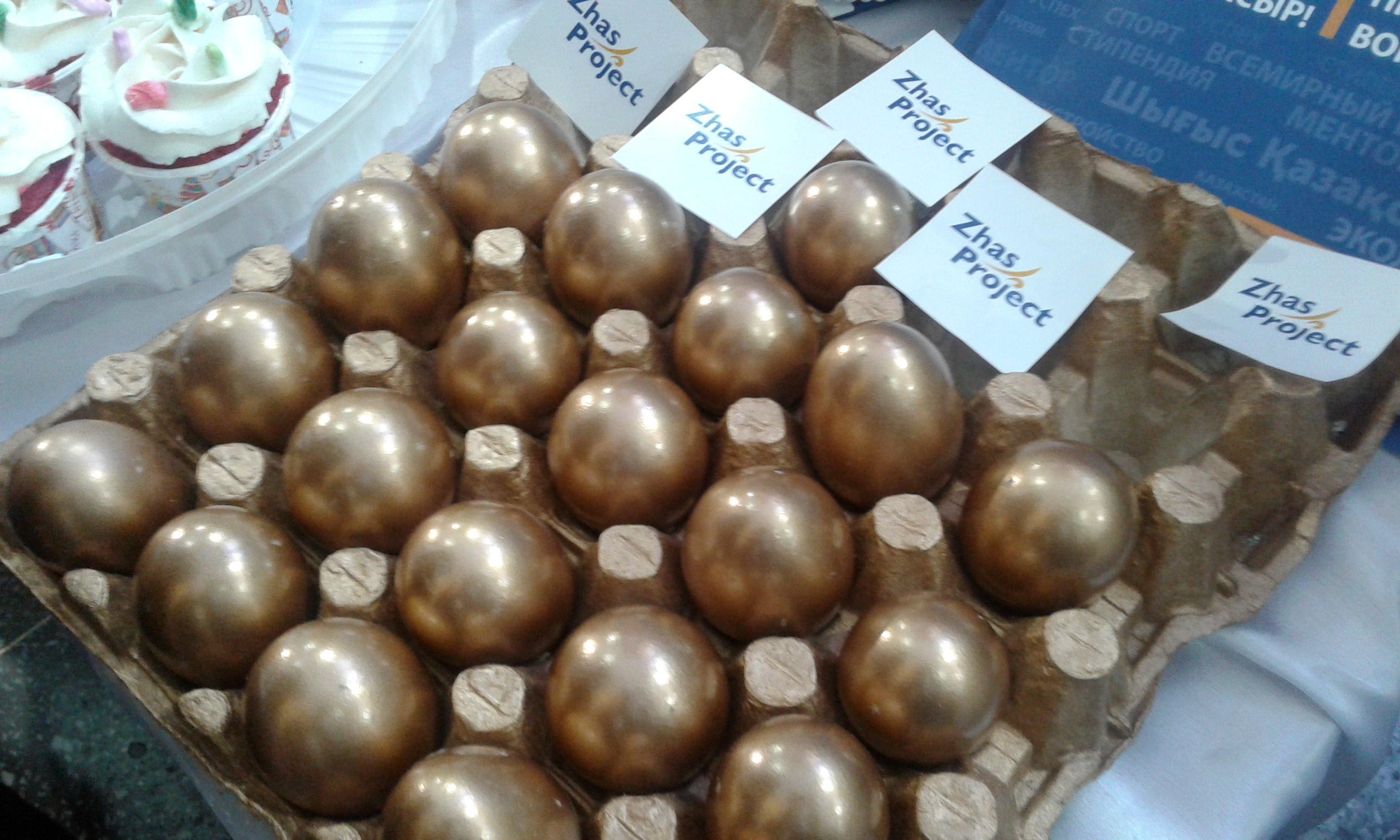 «Zhas projekt» forýmynda «Altyn jumyrtqa» men «Eshki sútiniń paıdasy» jobalary zor qoldaýǵa ıe boldy