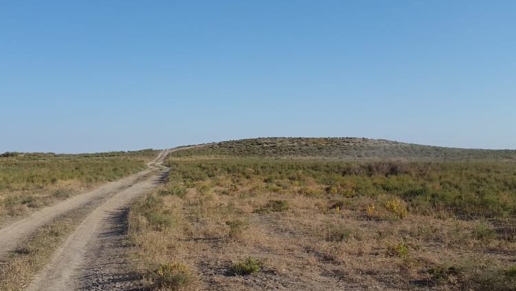 Taıtóbe týrızmdi damytýǵa suranyp tur
