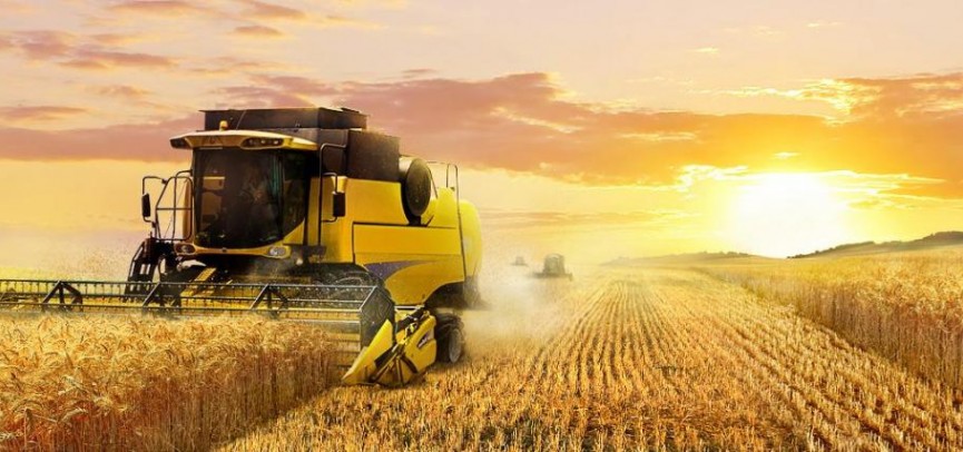 Kásipker ekonomıkanyń tiregi bolýy tıis