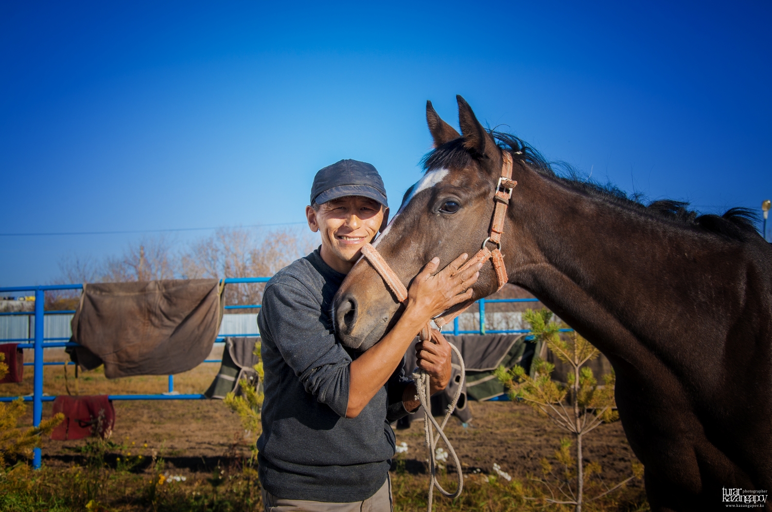 Júırik jylqynyń sıpattary