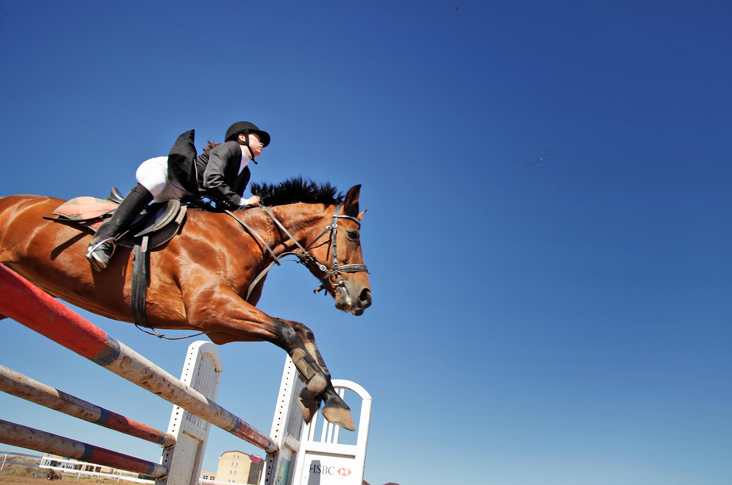 Bessaıystan el chempıondary anyqtaldy