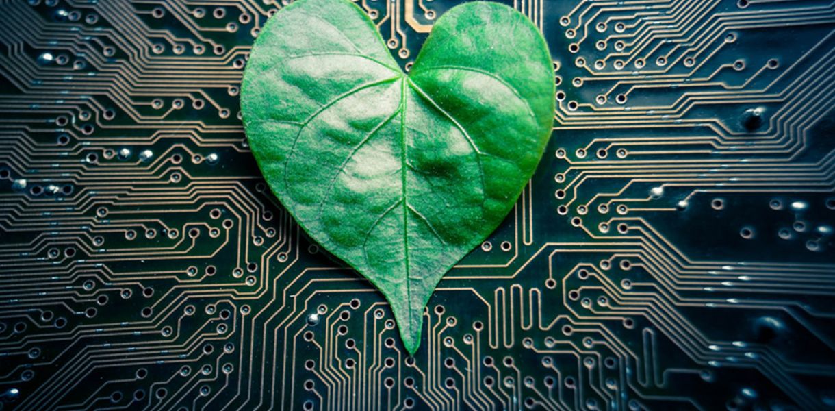 Jasandy ósimdikter Jer sharyn tazartýǵa qalaı kómektesedi?