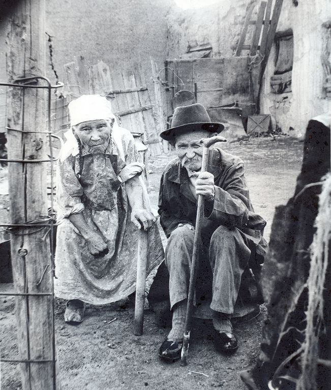 Qasiret shekken qarııalar