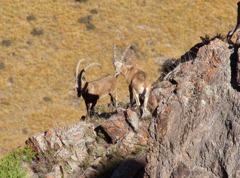 Qazaqstannyń kórikti jerleri týraly baǵdarlama halyqaralyq syılyqqa ıe boldy