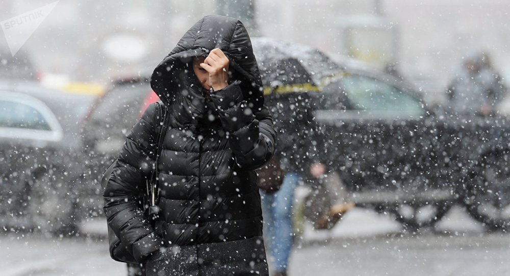 Búgin elimizde tuman, kóktaıǵaq pen burqasyn kútiledi