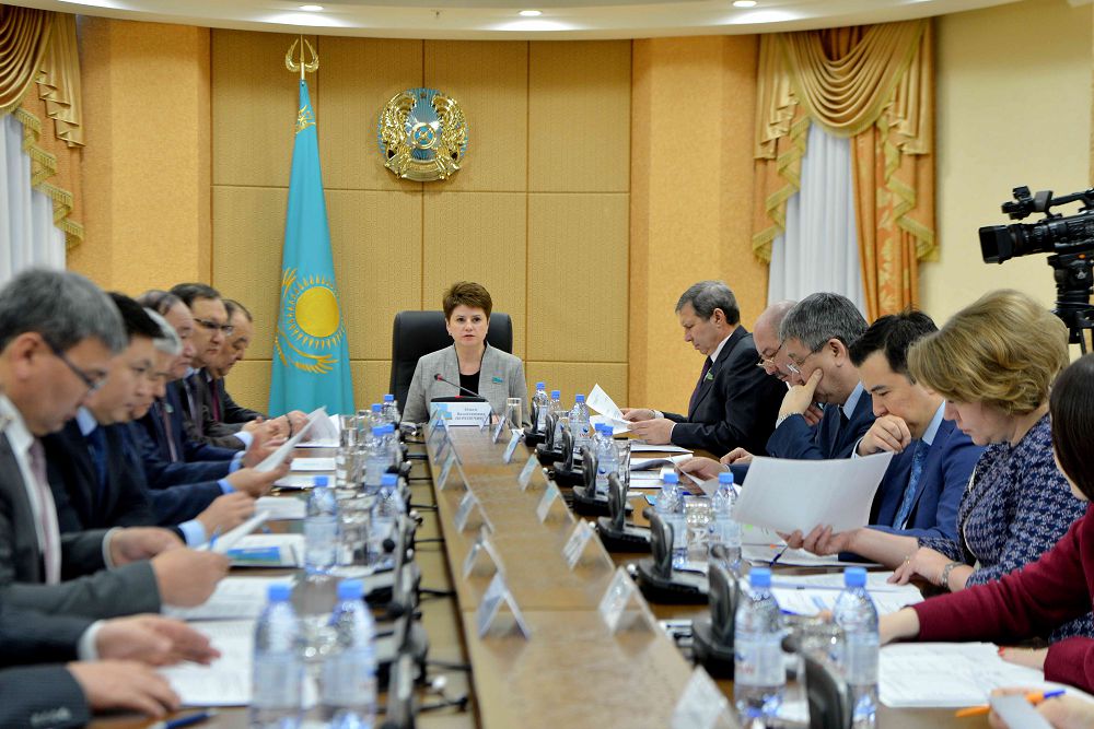 Senatorlar memlekettik-jekeshelik áriptestik jobalaryn iske asyrý máselelerin talqylady