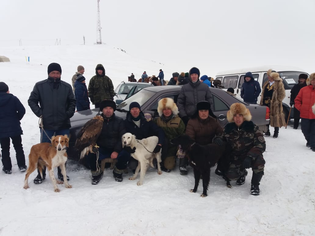 Baıanaýyldyq  Aqbaqaı, Saryqasqa, Aqqus, Lashyn atty tazylar  júldeli oraldy