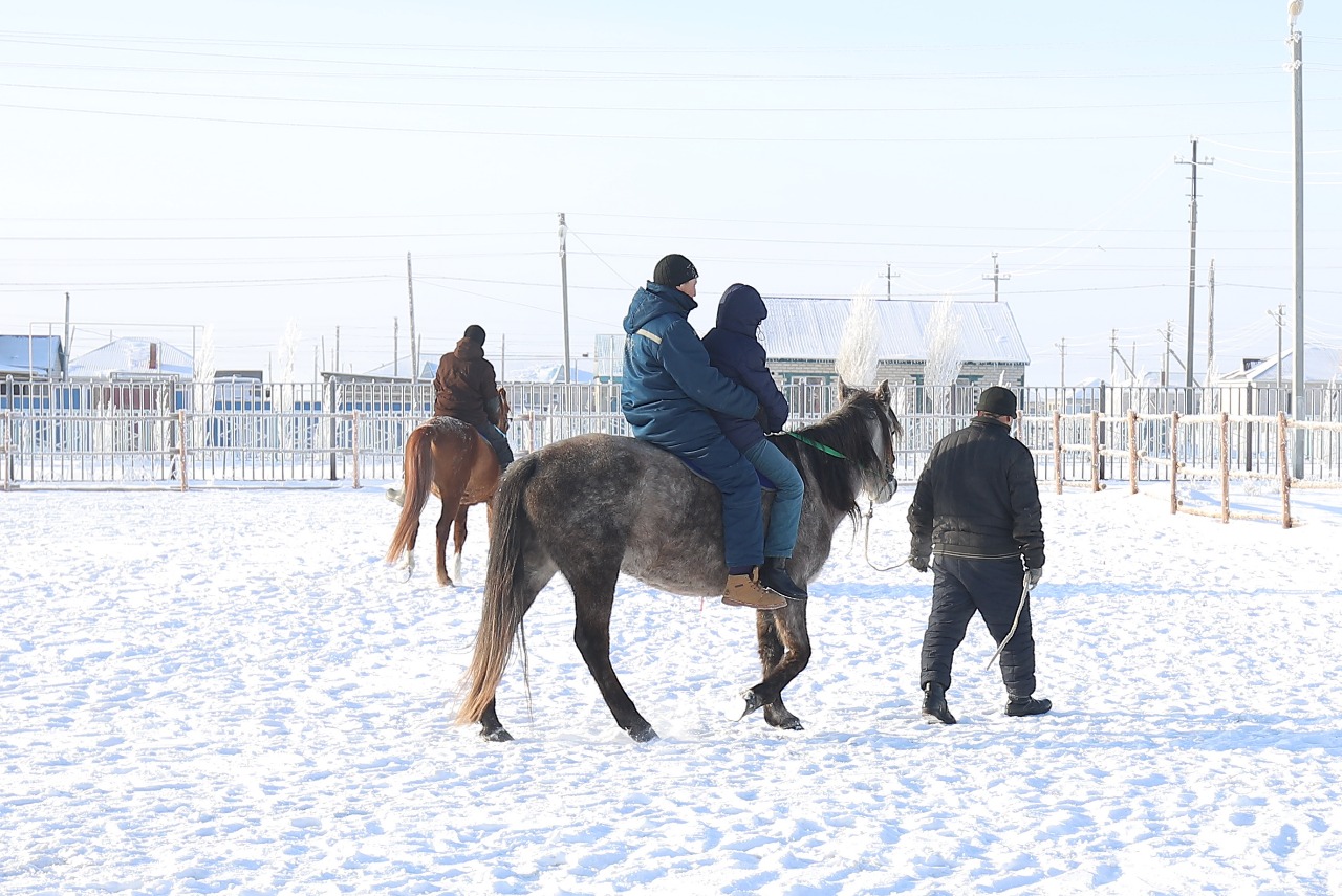 Aqtóbelik jas kásipker sal aýrýymen aýyratyn balalardy ıppoterapııamen tegin emdeıdi