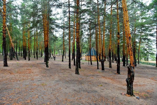 Shalqar-Imantaý demalys aımaǵyn jańǵyrtýǵa  1 mlrd teńge jumsalady