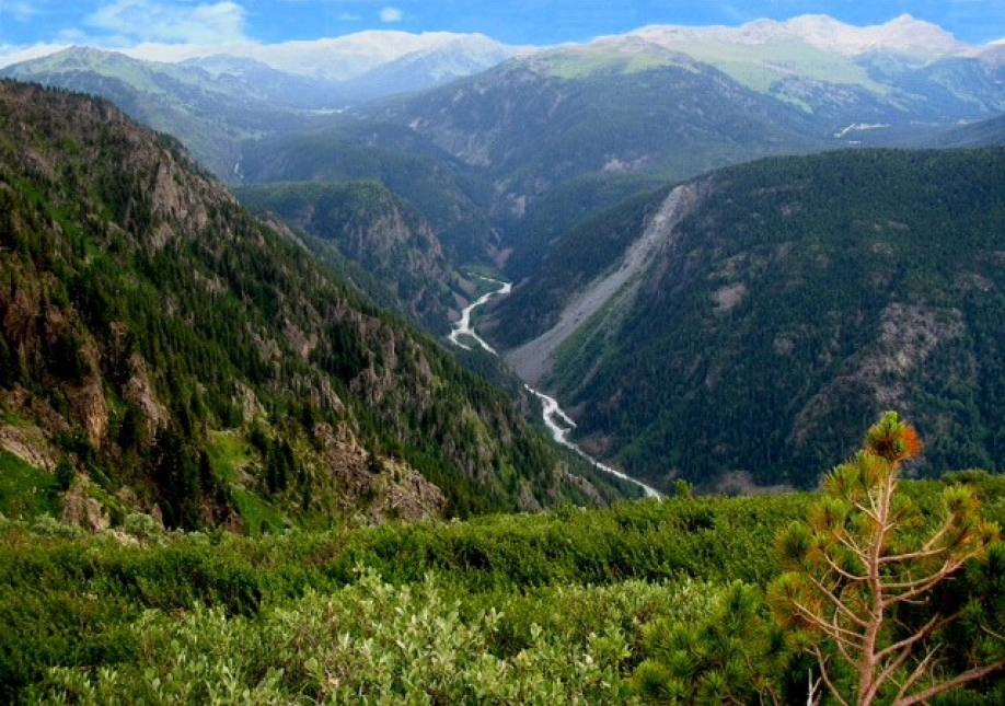 ShQO Katonqaraǵaı aýdanynda «Altaı» shıpajaıy ashylady