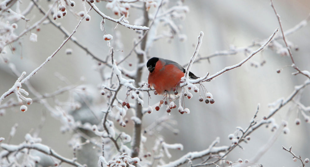 Búgin Qazaqstannyń ońtústik-shyǵysynda jaýyn-shashynsyz aýa raıy kútiledi