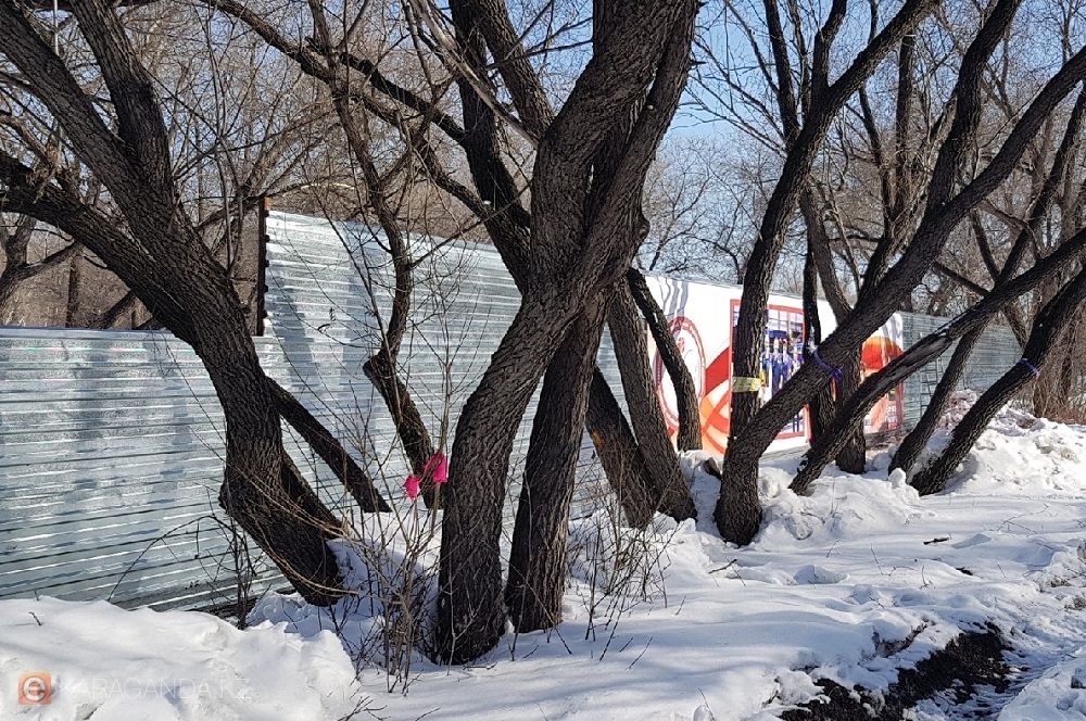 Qorshaý salyp alǵan, al ruqsat alynbaǵan...