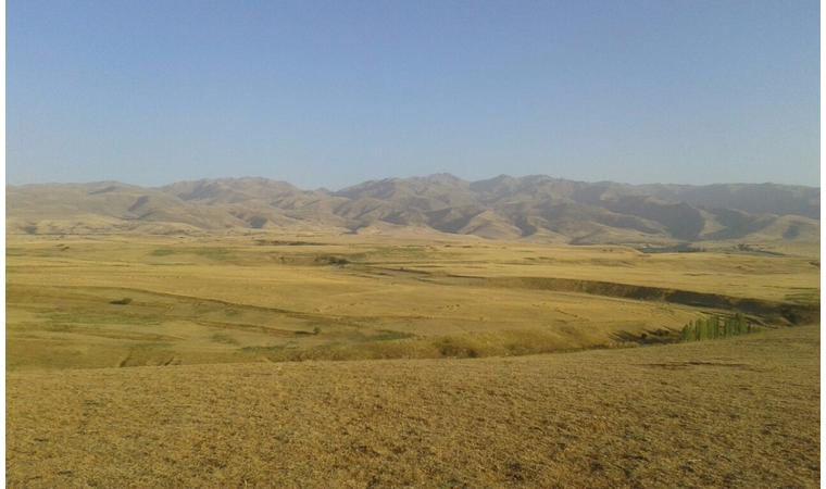 Almalylyqtardyń kóńili nege kúpti?