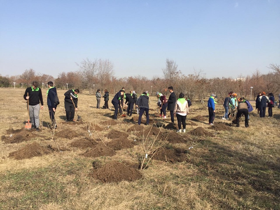 Tuńǵysh Prezıdent saıabaǵyna 100 túp bórtegúl otyrǵyzdy