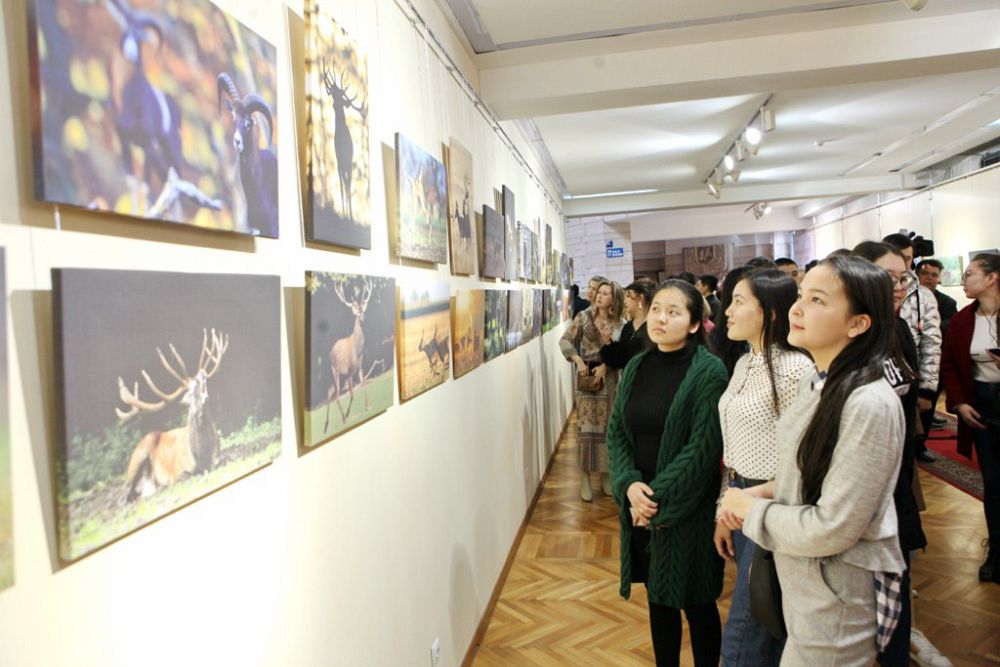 Buǵylardyń tańsyq keıpi