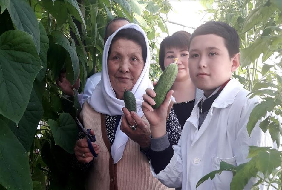 Baıanaýyldaǵy mektep-ınternat jylyjaıynda qııar, qyzanaq ósiriledi 