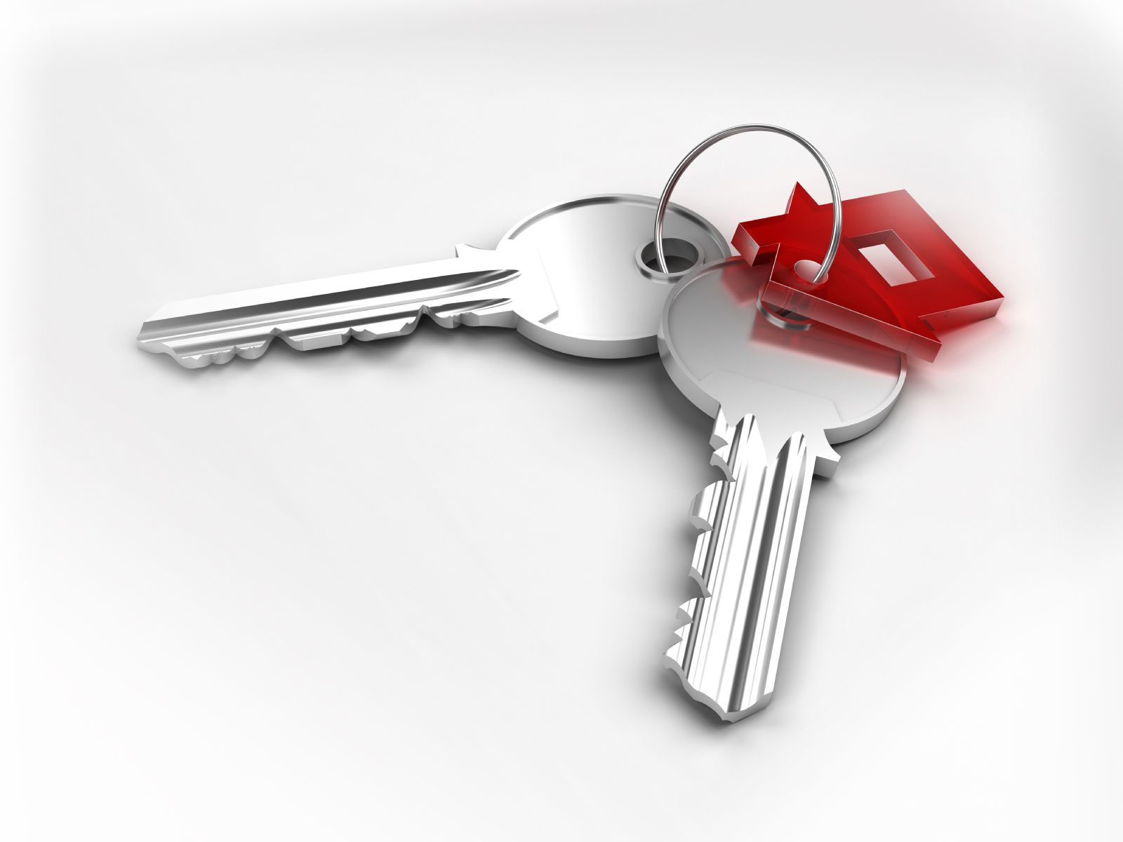 Kópbalaly analar úıli bolady